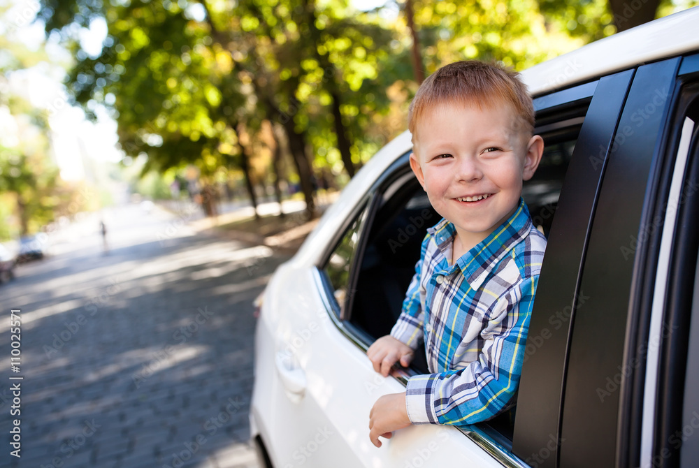 Adorable baby boy in the car
