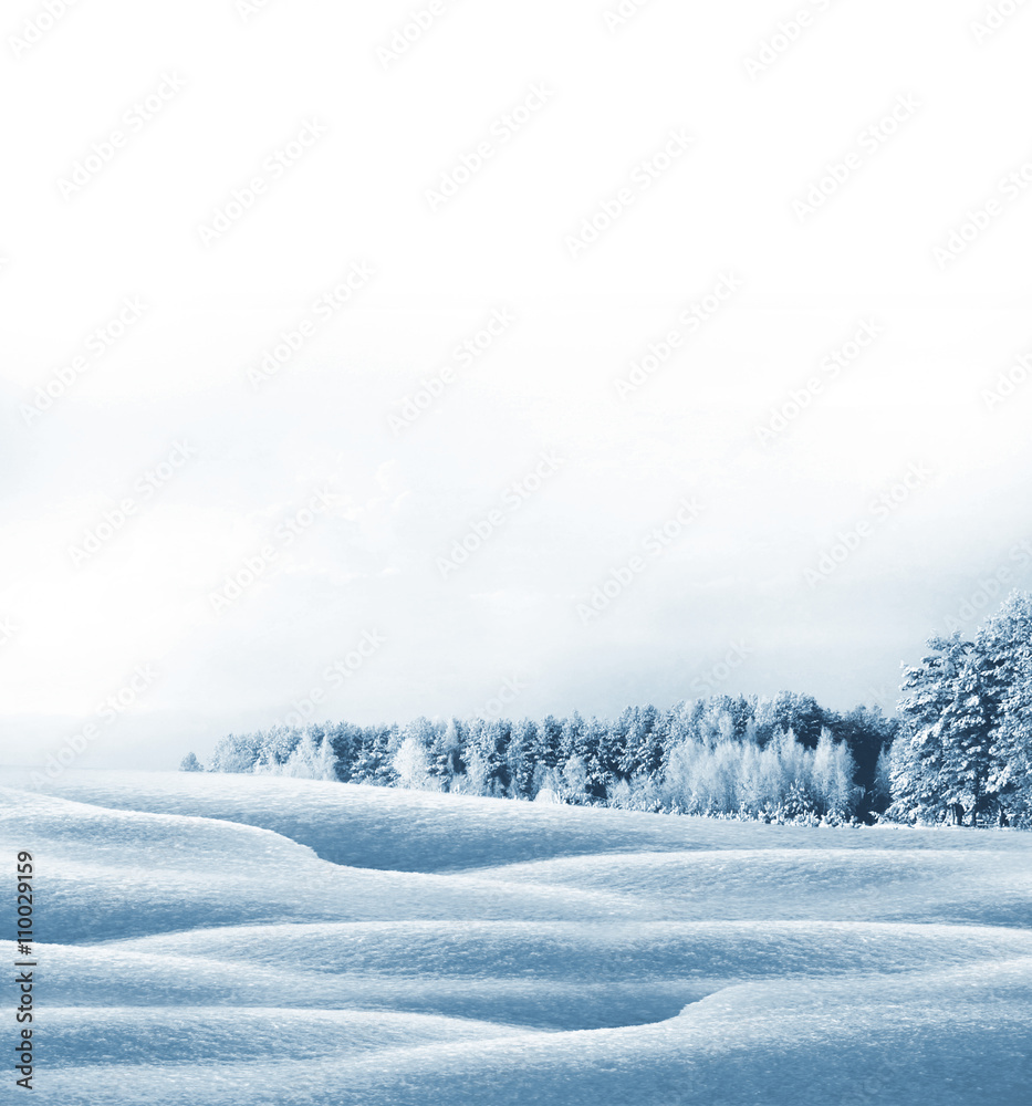 Winter forest. Winter landscape. Snow covered trees Winter forest. Winter landscape. Snow covered trees