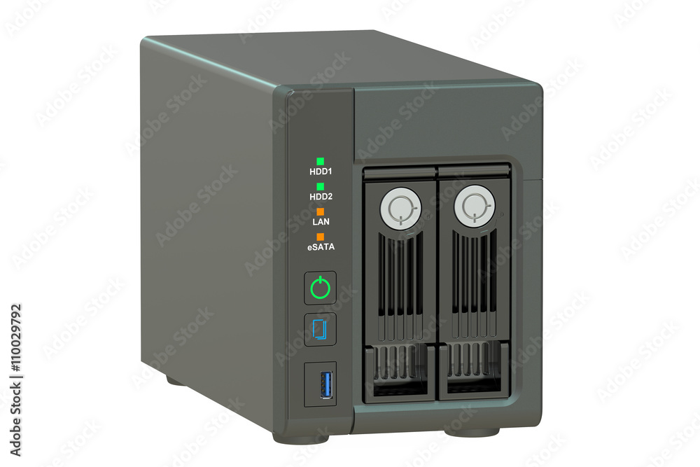 Obraz premium NAS with two disks, 3D rendering