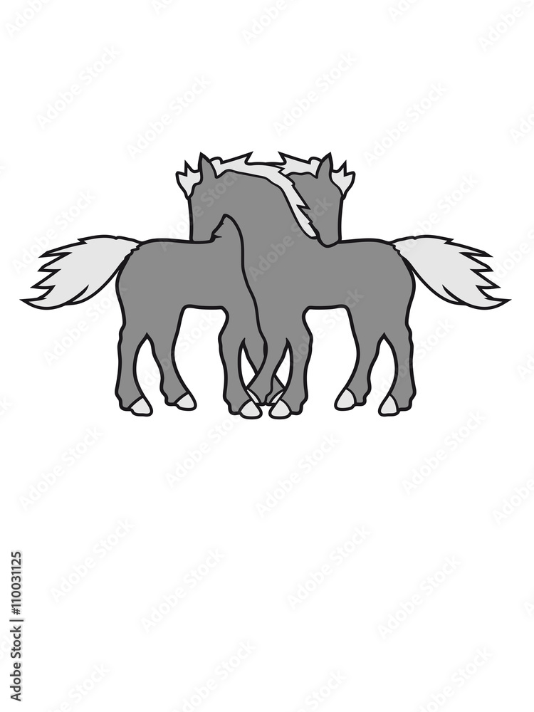 Fototapeta premium 2 horses couple couple love love mare stallion cuddle cuddling nice ride