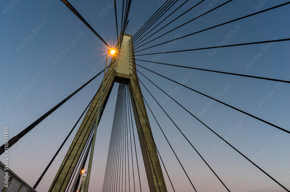 ANZAC Bridge pylon with steel cables against sunset sky, Sydney, Australia. ANZAC Bridge is the longest cable-stayed bridge in Australia, and amongst the longest in the world. Bottom-up view