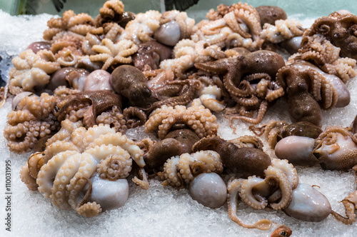 Raw fresh baby octopus on ice. Seafood restaurant display. Shallow DOF