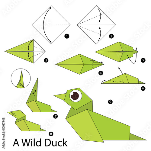 Step by step instructions how to make origami A Wild Duck.