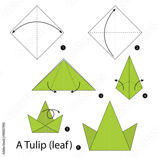 Step by step instructions how to make origami A Tulip (leaf.)
