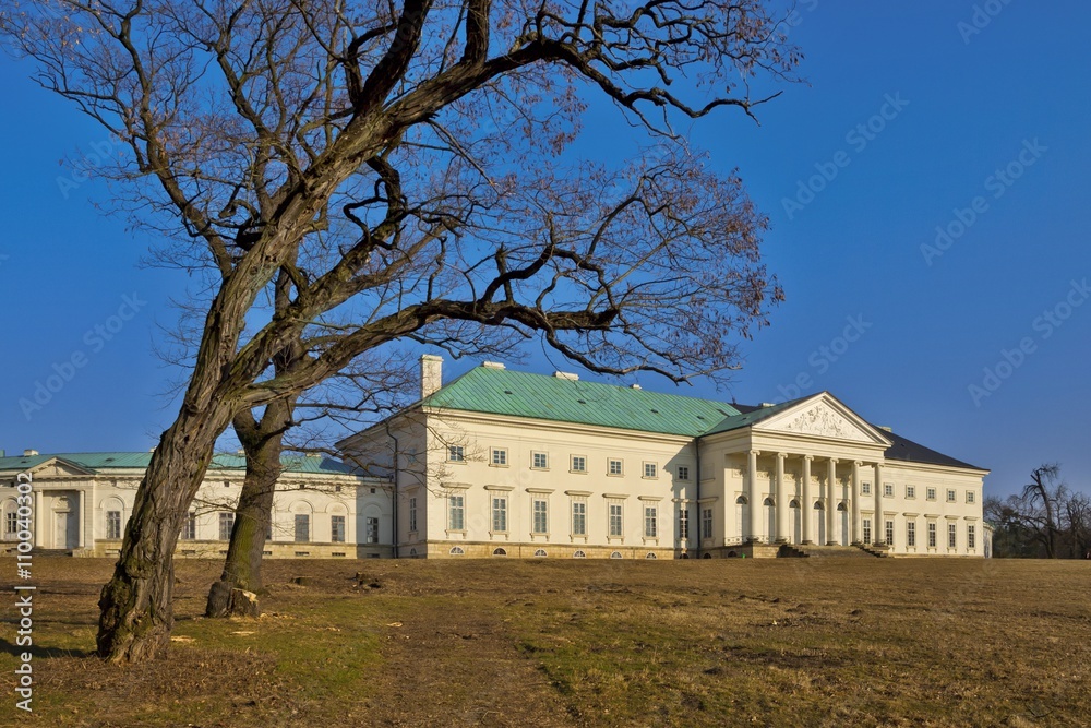 The chateau Kačina is among the most significant buildings of empire architecture in Bohemia - winter photo side towards to the park with pair black locust trees without leaves and without snow