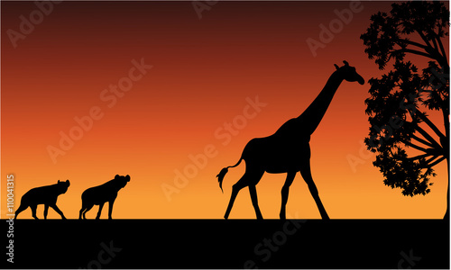 Silhouette of panther and giraffe