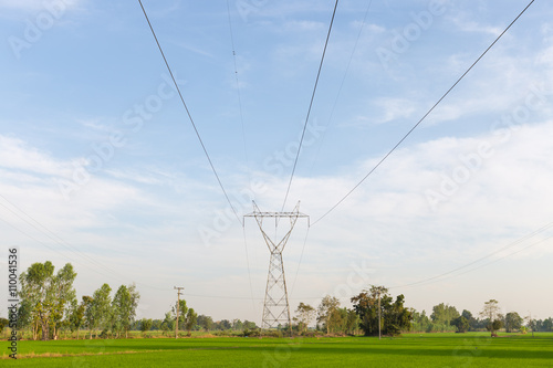 Electricity transmission lines in rice fields