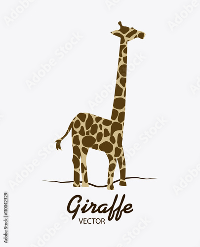 Fototapeta Naklejka Na Ścianę i Meble -  Giraffe icon. Animal design. Safari concept