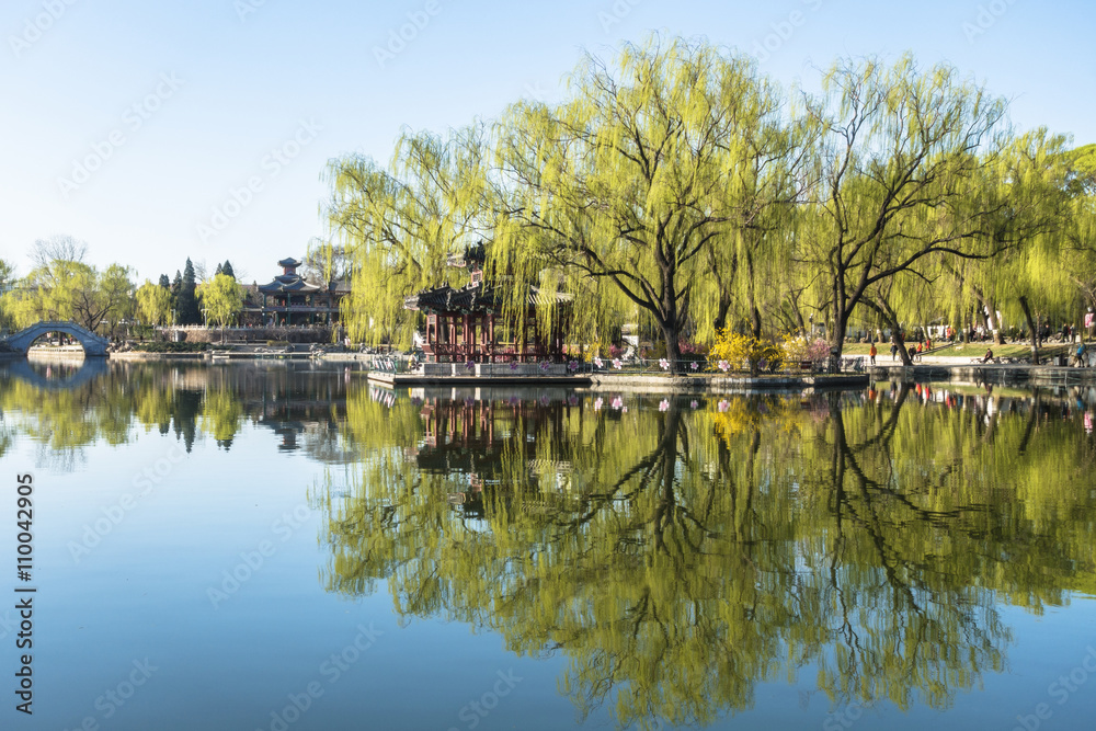 Chinese park in spring