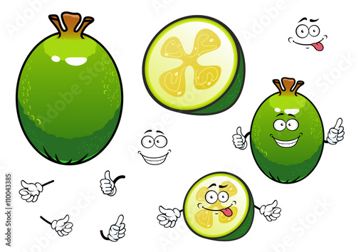 Fresh cartoon green feijoa fruit characters