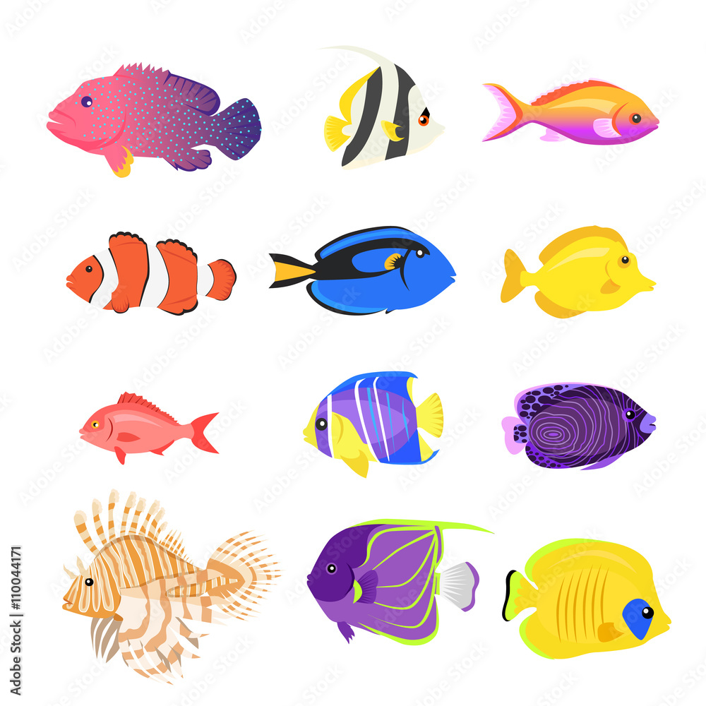 Set of Sea Fish Color Design Flat Set of Sea Fish Color Design Flat