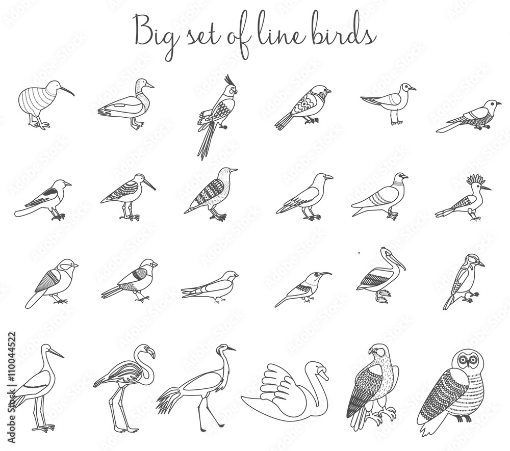 Birds outline thin line illustration icons. Colorful cartoon birds icons set.