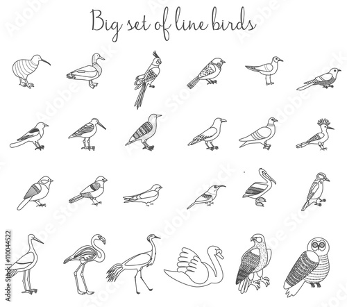 Birds outline thin line illustration icons. Colorful cartoon birds icons set. © lembergvector