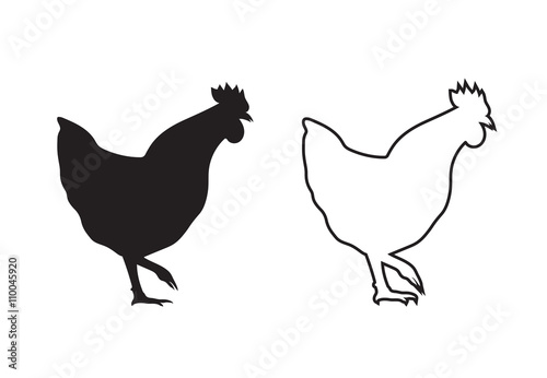 Vector image of an chicken on a white background.