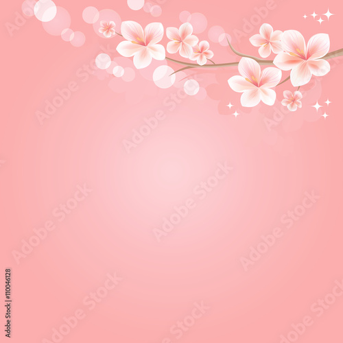 Flowers background. Flowers design. Vector abstract illustration. Sakura blossoms. Branch of sakura with flowers. Cherry blossom branch on pink. Vector 