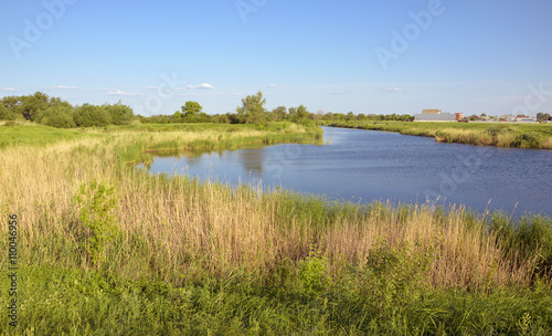 Summer landscape with river