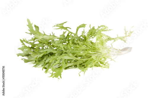 arugula lettuce