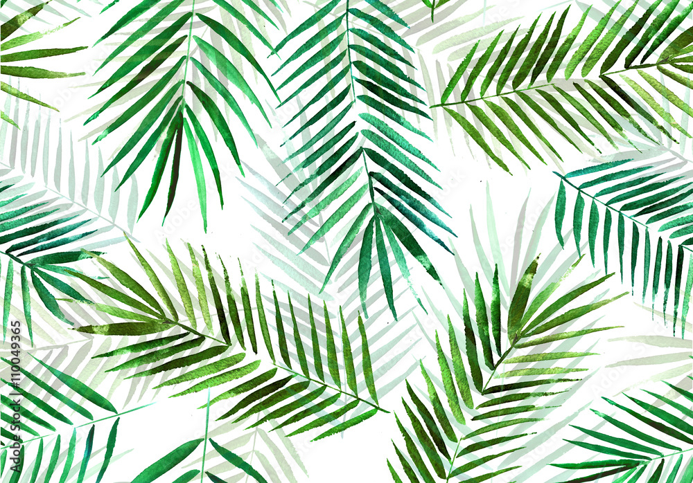 watercolor sketch palm tree branch on a white background watercolor sketch palm tree branch on a white background