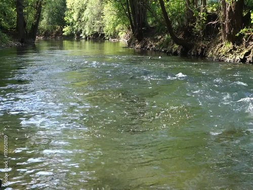 Sommertag am Fluss