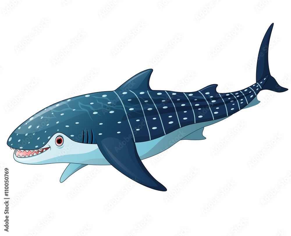 Obraz premium Illustration of whaleshark