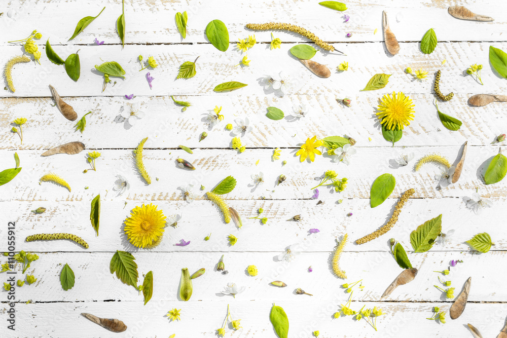 Obraz premium Flowers and buds of trees on a wooden surface