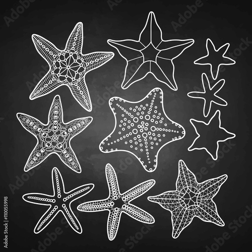 Graphic starfish collection