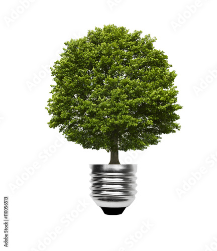 Lampe und Baum