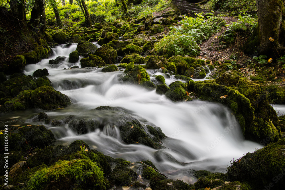 stream in the forest stream in the forest