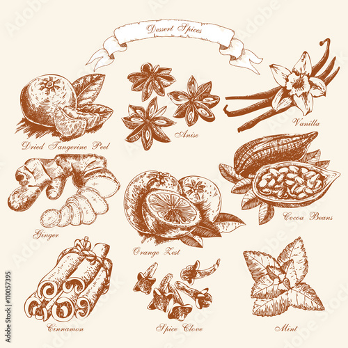 Series - vector fruit, vegetables and spices. Sketch. Healthy food. Linear graphic. Set of vanilla, dried tangerine peel, orange peel, cinnamon, anise, cocoa, mint, spice cloves, ginger.