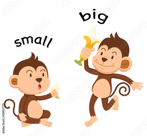 Opposite words small and big