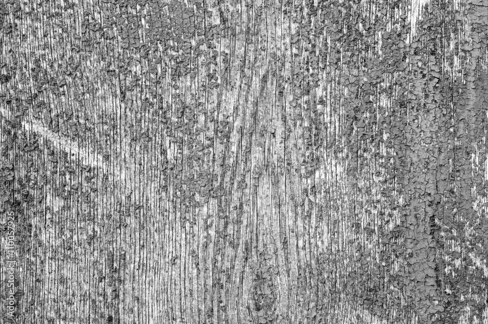 Obraz premium Designed grunge paper texture