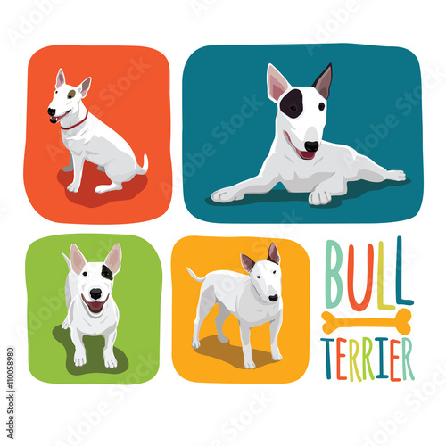 Bull Terrier