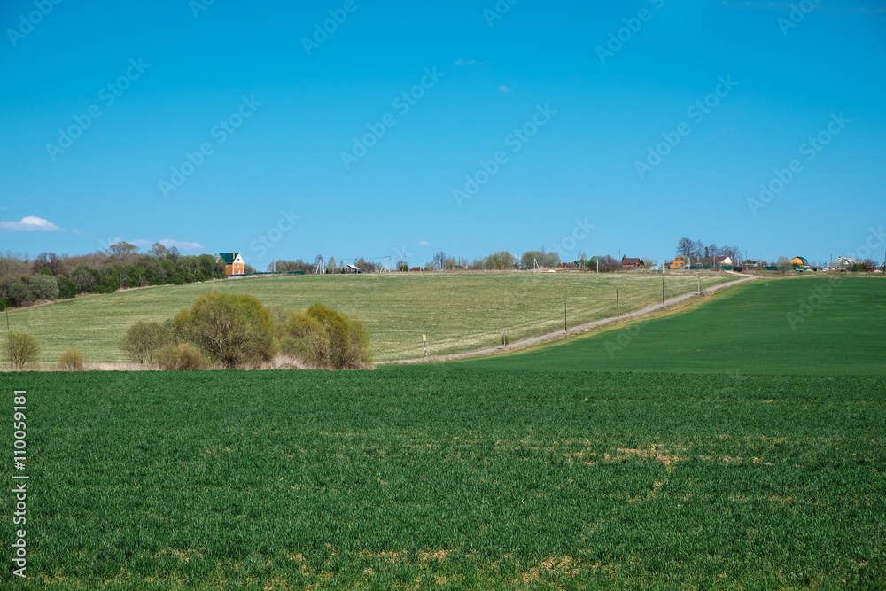Vivid green grass fields and hills of Russian village at sunny spring day Vivid green grass fields and hills of Russian village at sunny spring day