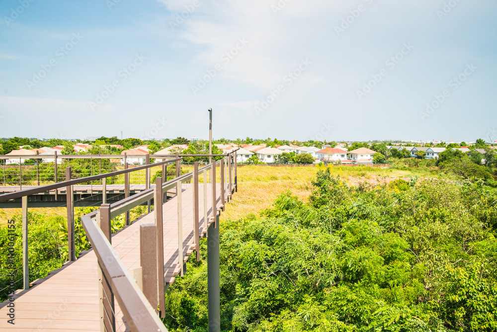 Walkway wooden bridge on sky looking view natural in city