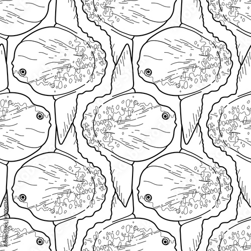 Graphic vector sunfish