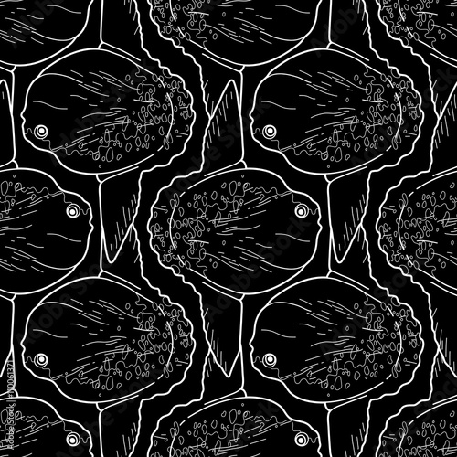 Graphic vector sunfish