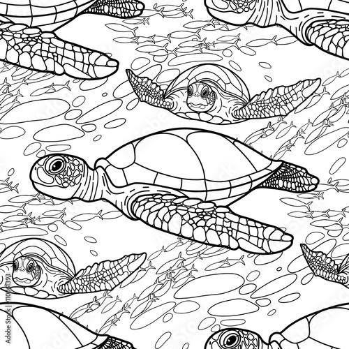 Hawksbill sea turtle pattern