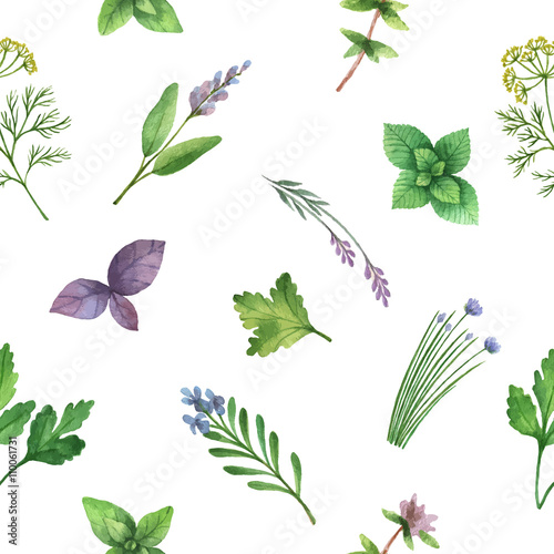 Watercolor vector seamless pattern hand drawn herb .