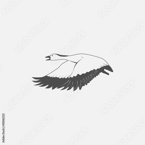 flying goose in grayscale