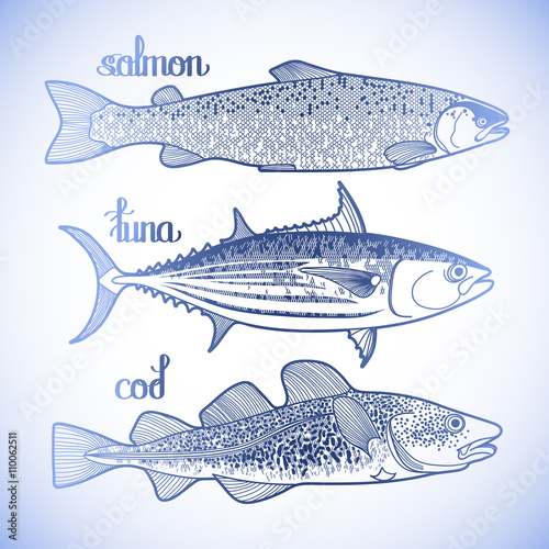 Graphic fish collection