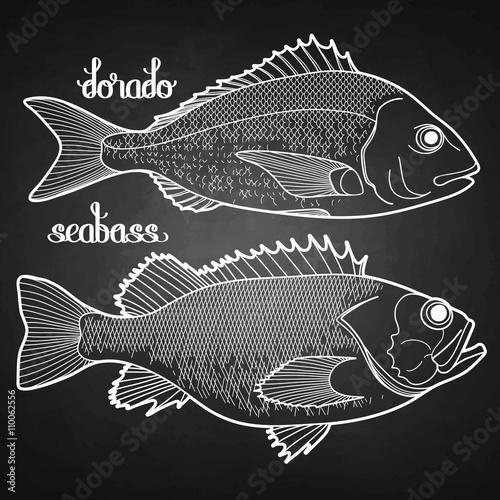 Graphic fish collection