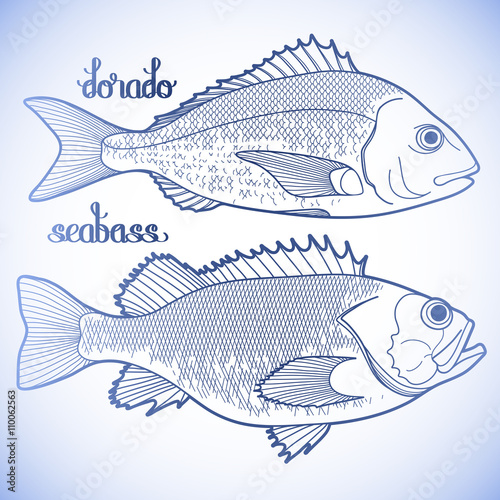 Graphic fish collection