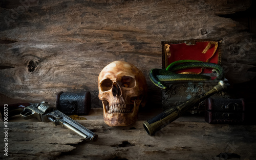 Obraz na płótnie pirate skull concept , still life w salonie