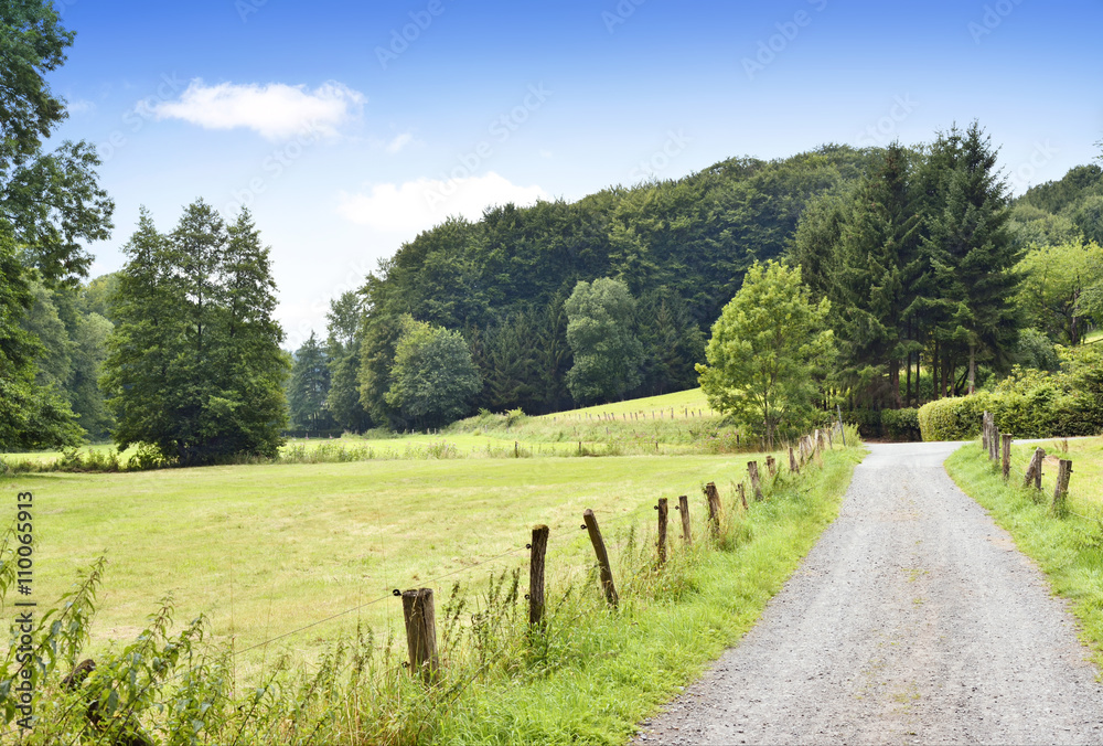 Idyllic country road in the sunset, with copy space and forest. Single lane road through fields and pastures, nature background. 
