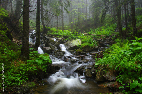 Mountain river in forest.