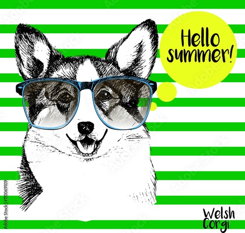 Vector close up portrait of welsh corgi pembroke wearing the sunglassess. Bright hello summer corgi portrait. Hand drawn domestic pet dog illustration. Isolated on background with green stripes.