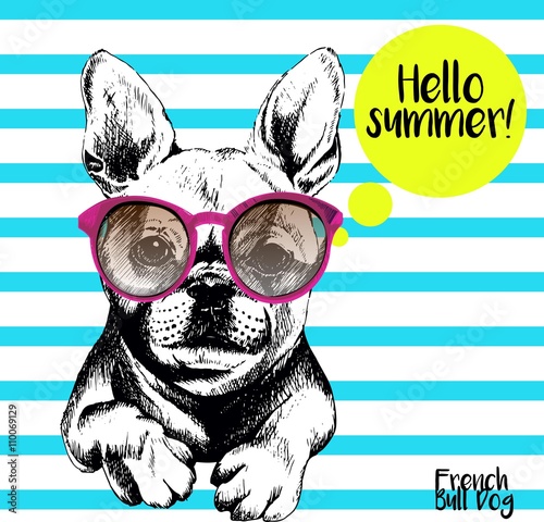 Vector close up portrait of french bulldog wearing the sunglassess. Bright hello summer french bulldog portrait. Hand drawn domestic pet dog illustration. Isolated on background with cerulean stripes.