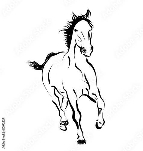 Vector line sketch of a running horse