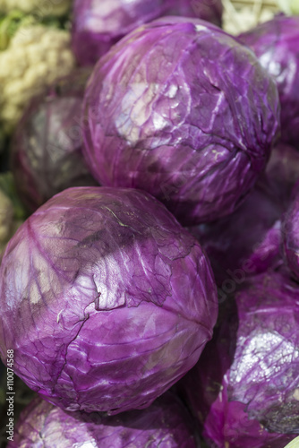 Purple cabbage in market 