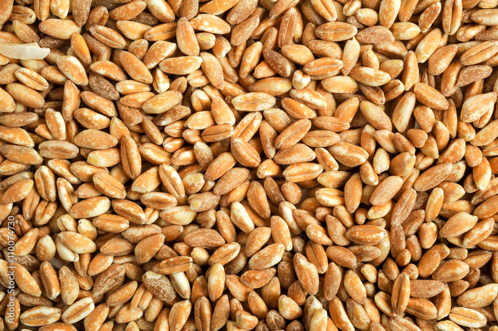 Spelt for background Spelt for background